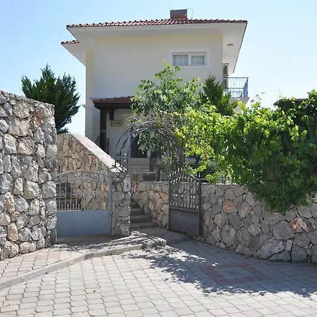 Hayat
