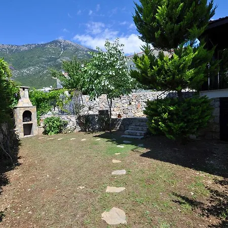 Hayat Villa *